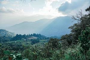 BIB: 
                            <button type="button" onclick="openModal(25651854)" class="btn btn-primary btn-sm float-right btn-popup" data-toggle="modal" data-target=".modal-high-quality">
                        <i class="fas fa-shopping-cart"></i> Add to Cart
                    </button>
                                            <button type="button" onclick="isThisMe(25651854, true)" class="btn btn-success btn-sm float-right btn-popup btn-isme hidden" data-toggle="tooltip" data-placement="bottom" title="นี่คือรูปของคุณใช่ไหม คลิกที่นี่เพื่อเอาเข้าอัลบั้ม">
                        <i class="fas fa-plus"></i> Add to album
                    </button>
                    <button type="button" onclick="isThisMe(25651854, false)" class="btn btn-warning btn-sm float-right btn-popup btn-isnotme hidden">
                        <i class="fas fa-ban"></i> Remove from album
                    </button>